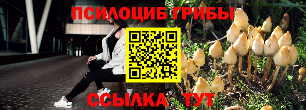 Галлюциногенные грибы мухоморы Ачхой-Мартан