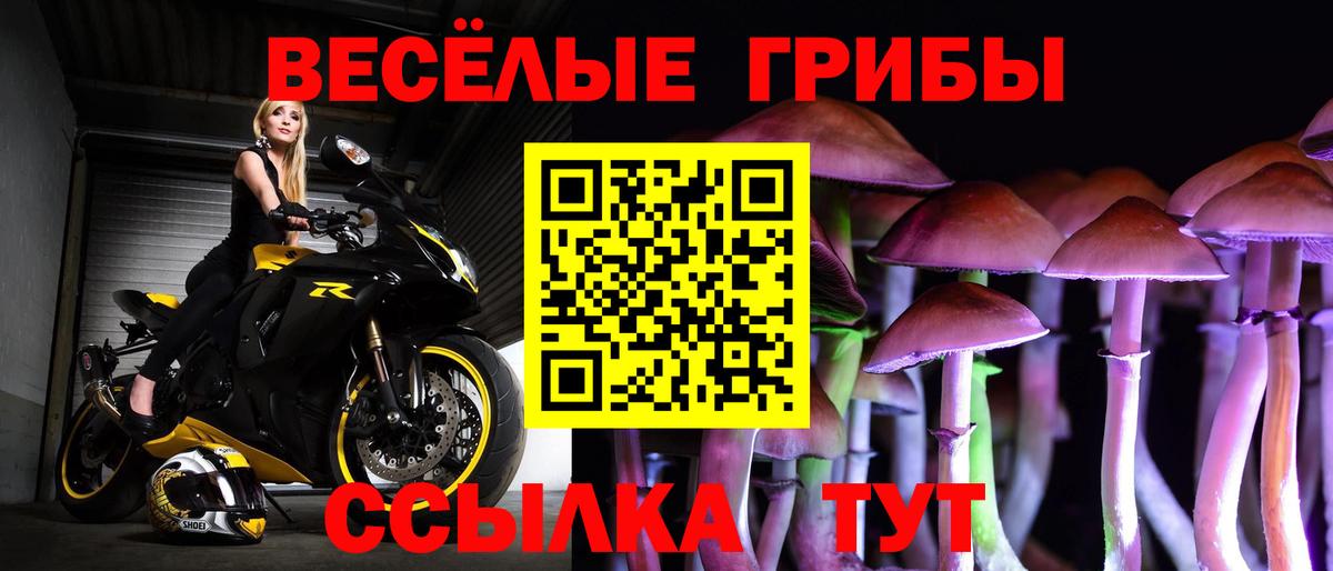 Ачхой-Мартан  Псилоцибиновые грибы мухоморы  Псилоцибиновые грибы мухоморы  закладка  Вход с VPN 