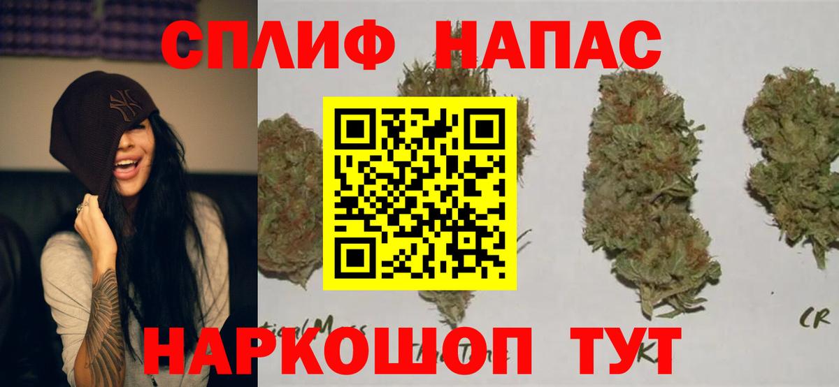 Канабис SATIVA & INDICA Ачхой-Мартан